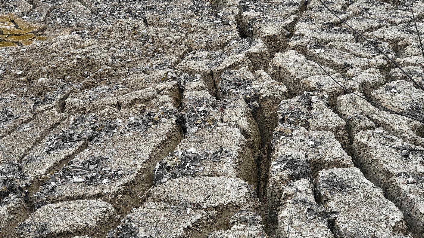 Stress idrico e alte temperature mettono a dura prova i suoli anche alle nostre latitudini