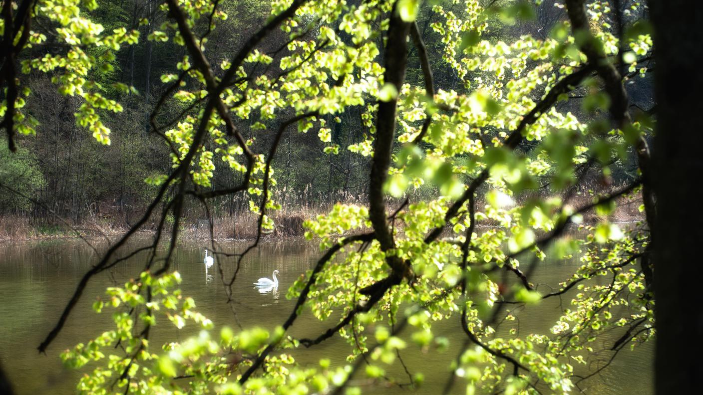 Spesso gli elementi acquatici rendono i luoghi più rilassanti