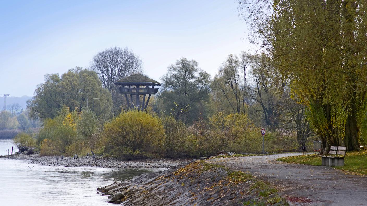 Anche una torre di osservazione ornitologica (Isola di Wollschwein - Kreuzlingen - Cantone Turgovia) può diventare un ottimo punto di ascolto.
