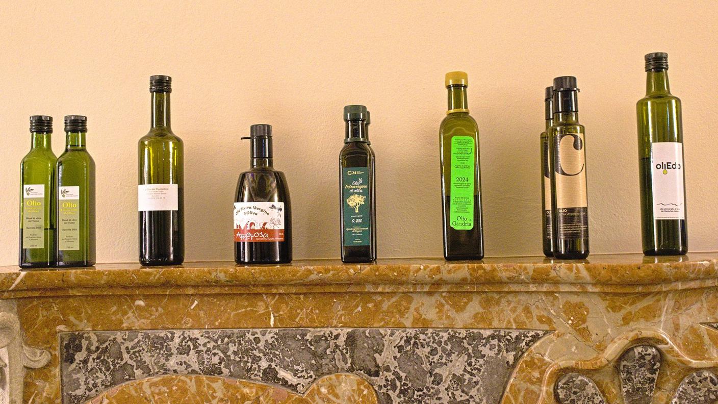 Extravergini del Ticino