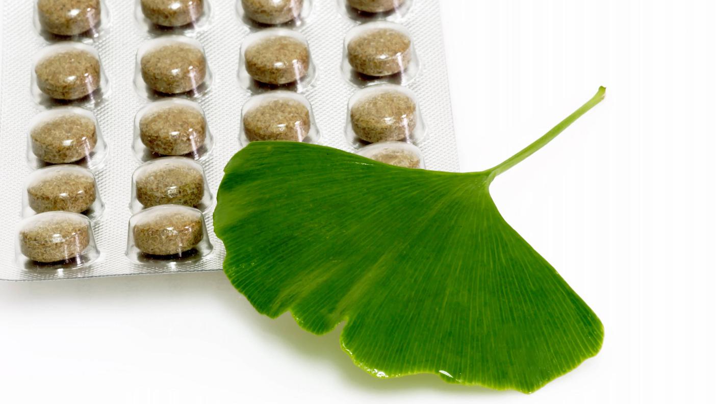 le foglie di ginkgo, tipicamente a forma di ventaglio bilobato, vengono essiccate e ridotte in polvere per produrre pastiglie e infusi destinati alle applicazioni fitoterapiche