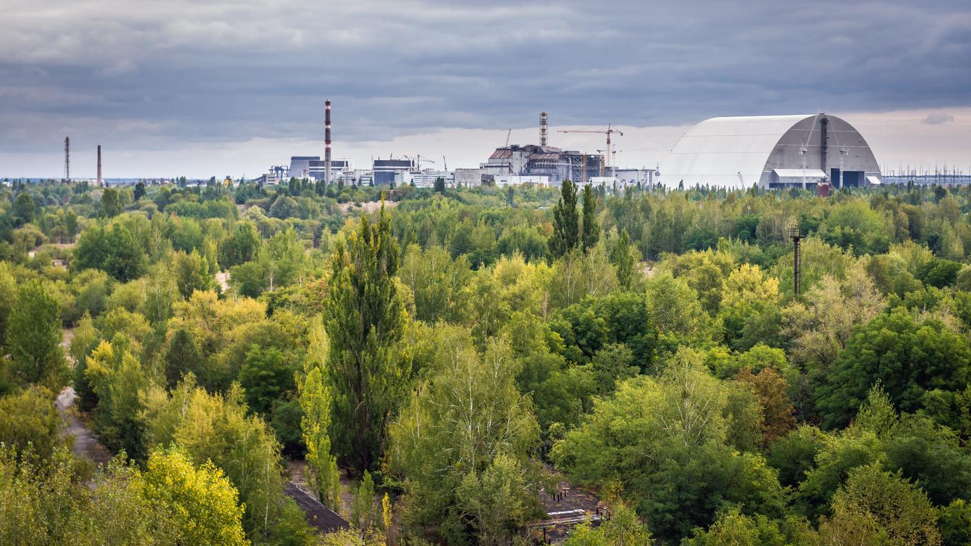 Nella zona di esclusione, attorno alla centrale, la natura ha riconquistato i suoi spazi