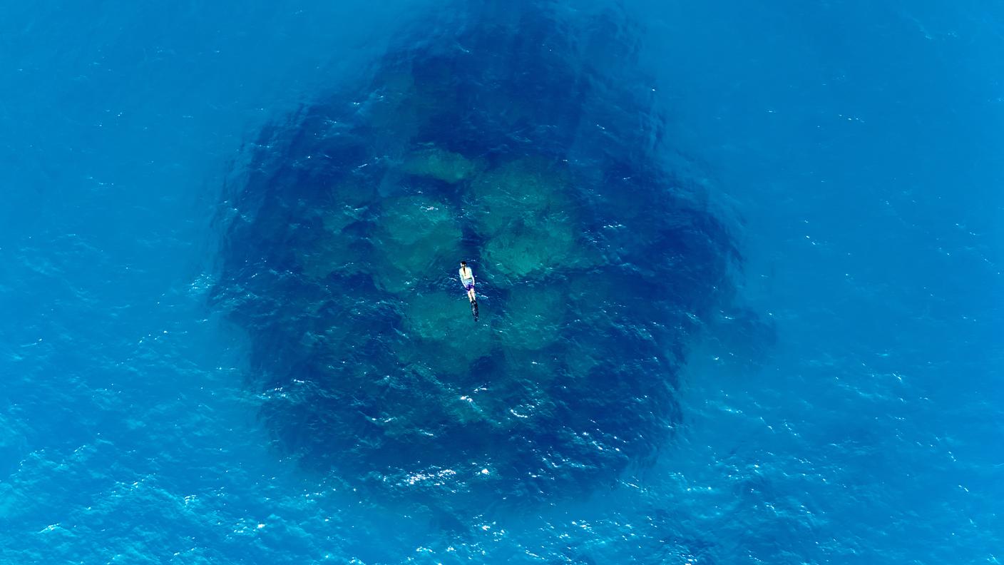 Corallo gigante sottomarino sotto lo sguardo di una nuotatrice