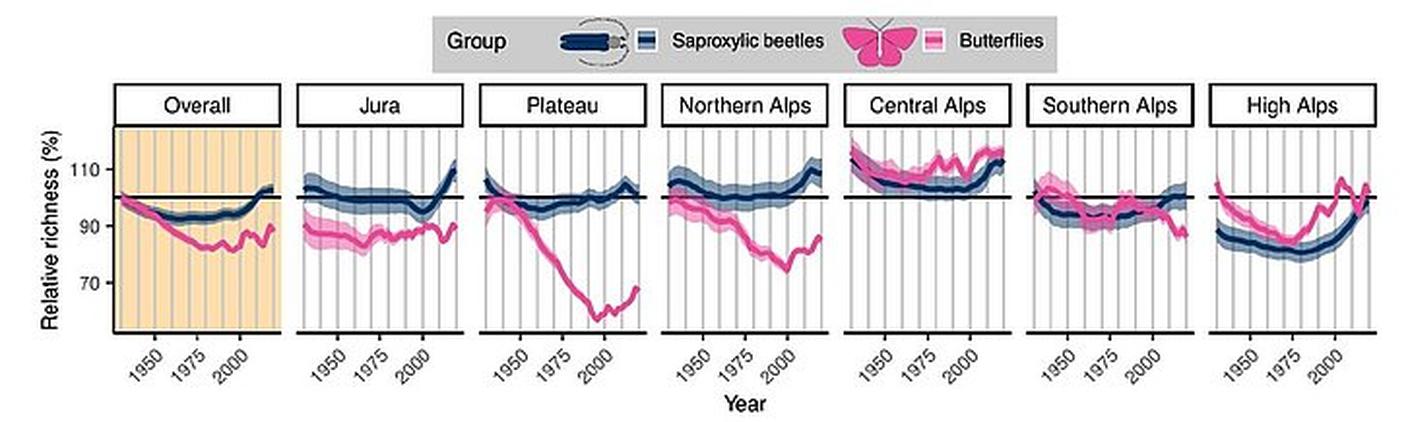 Variazioni nel numero di specie di coleotteri del legno morto e di farfalle diurne tra il 1930 e il 2021.
