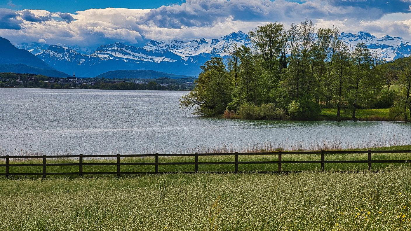Scorcio del lago di Baldegg (Canton Lucerna)