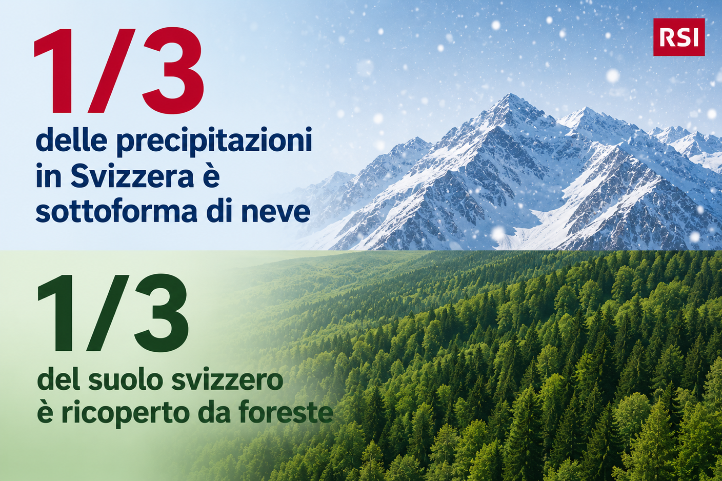 Immagine grafica SLF WSL 