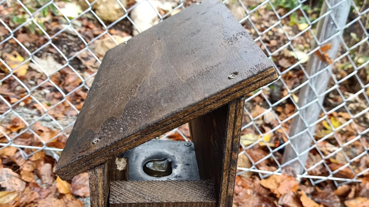 Stazione olfattiva: dispositivo ideato dalla ricercatrice dove deporre, a 30 cm dal suolo, le urine da testare