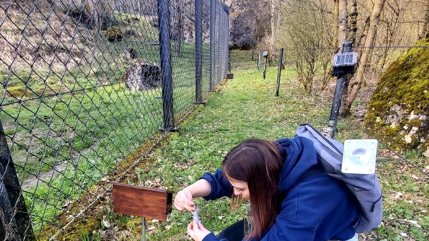 Giada Studer mentre ricarica una stazione olfattiva