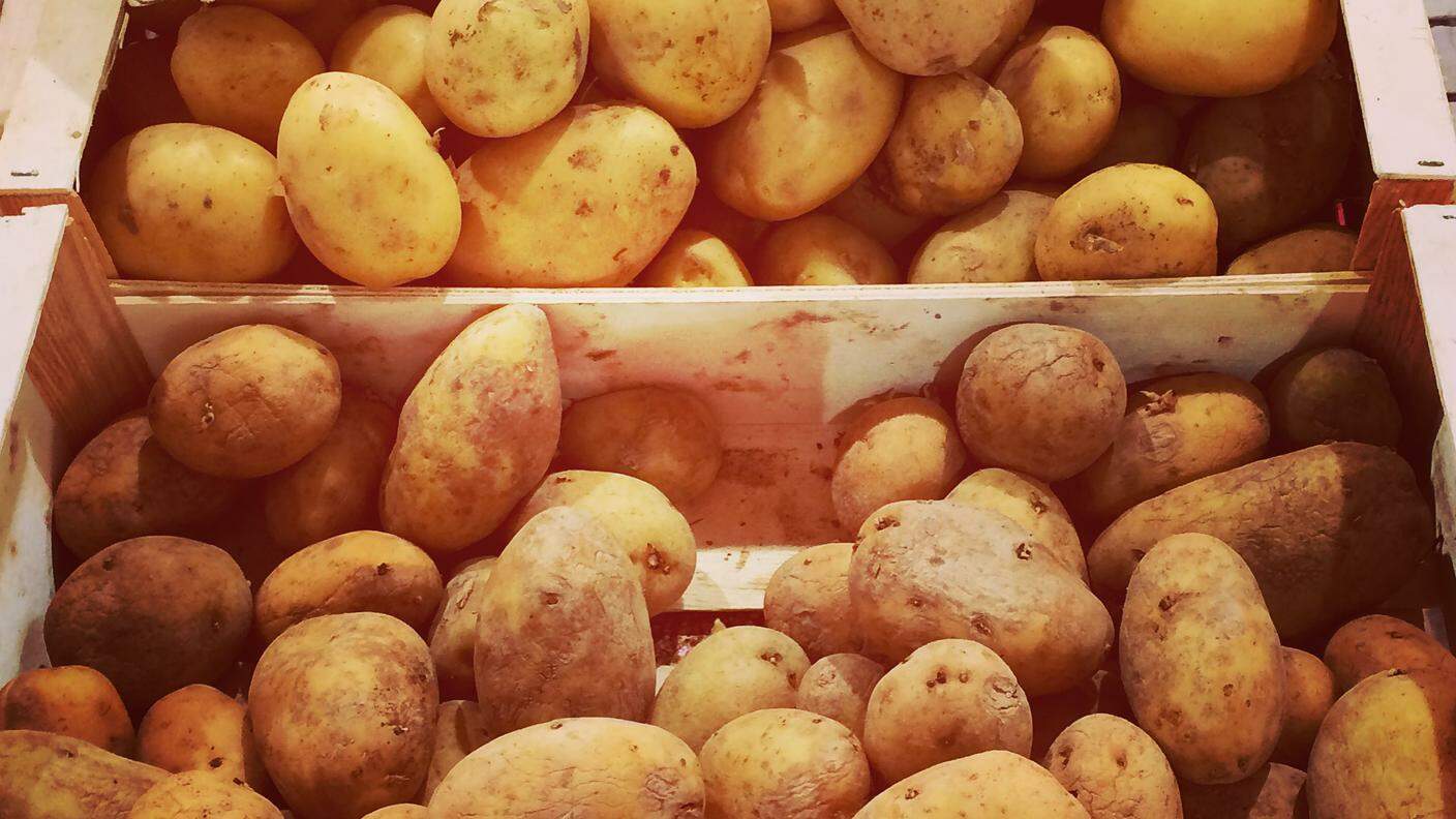 Marguerite & Julien patate & patate