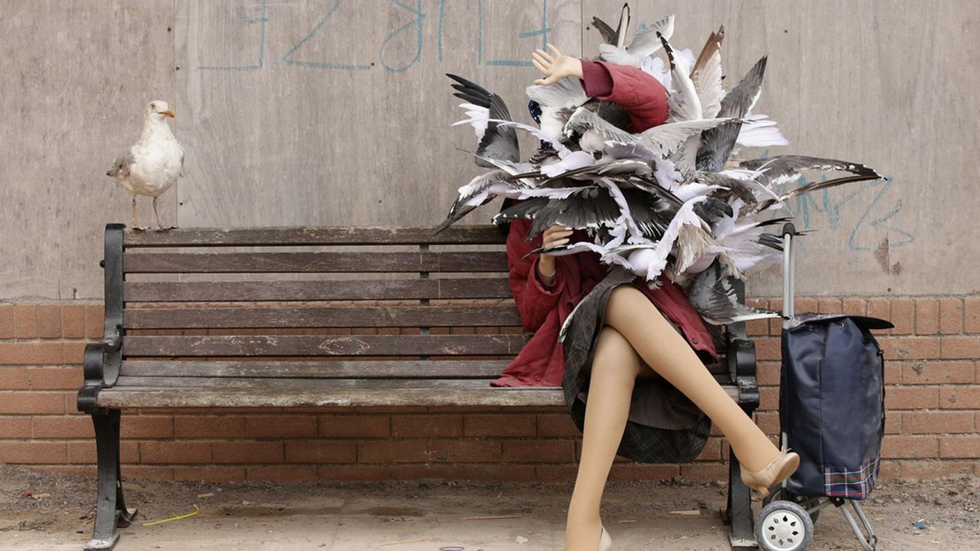 Una donna su una panchina attaccata dai gabbiani. È Banksy