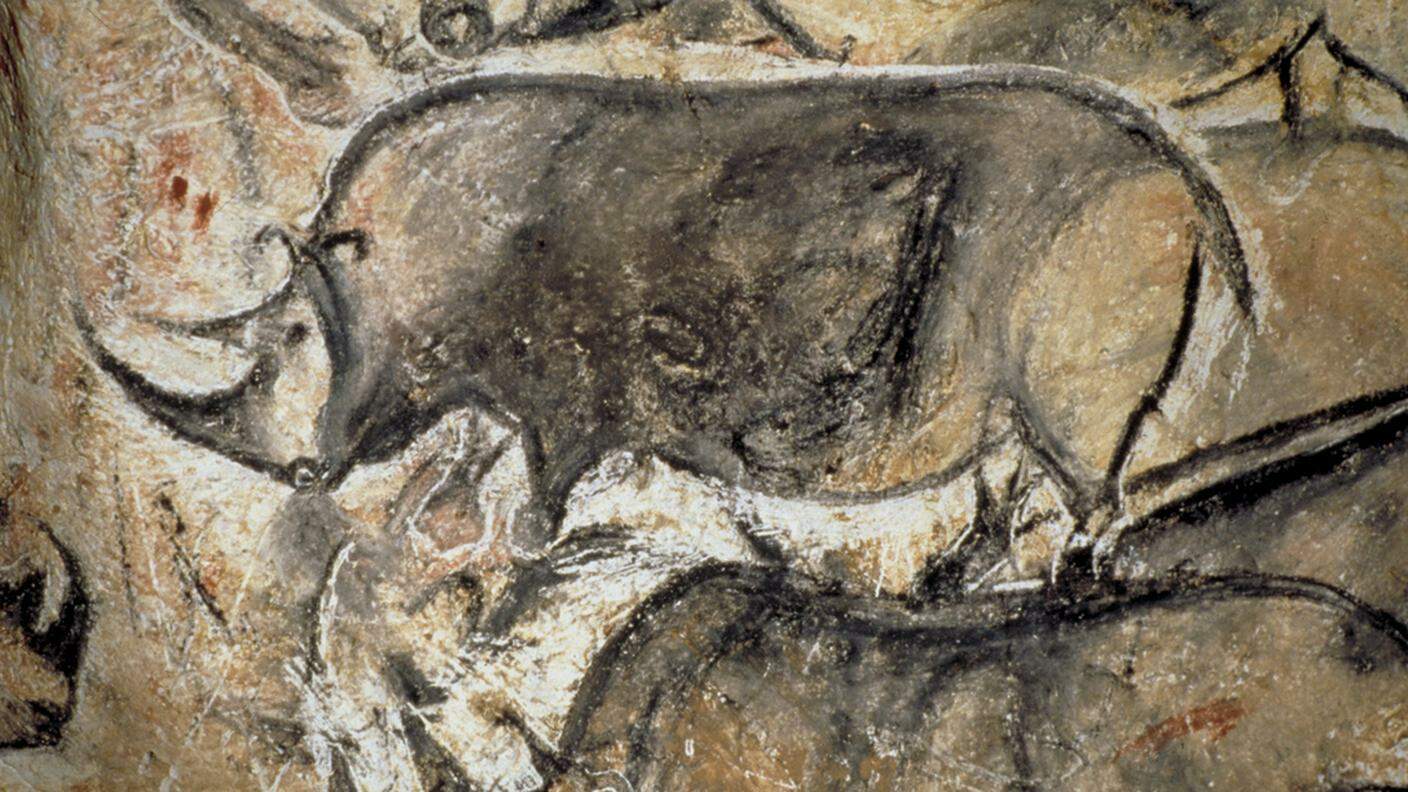 Per quest'animale preistorico "dipinto" a Chauvet non sono mai sussistiti dubbi