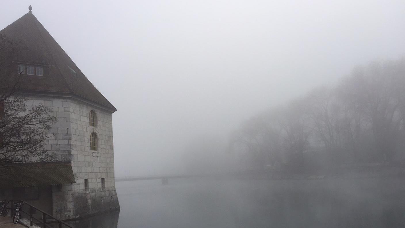 Lunedì mattina: nebbia sull'Aar