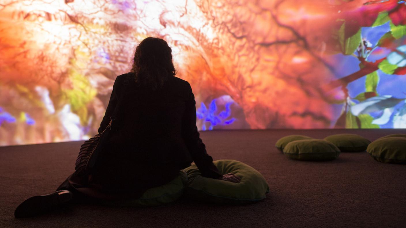 La mostra rimarrà aperta fino all'8 maggio