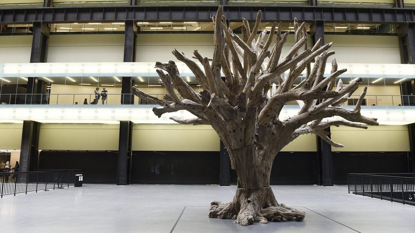 L'albero di Ai Weiwei nell'atrio