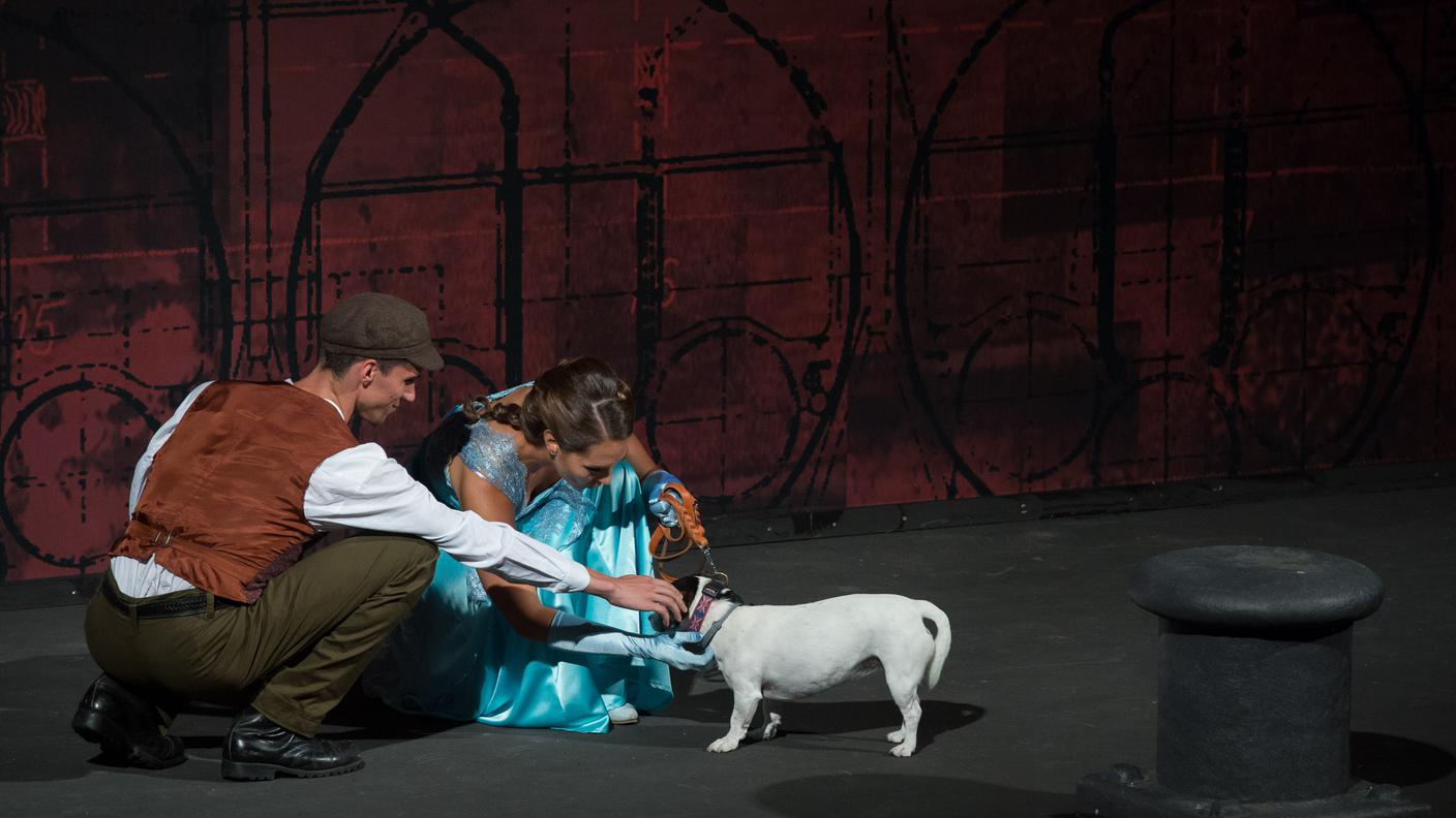 Anche un cagnolino nel cast