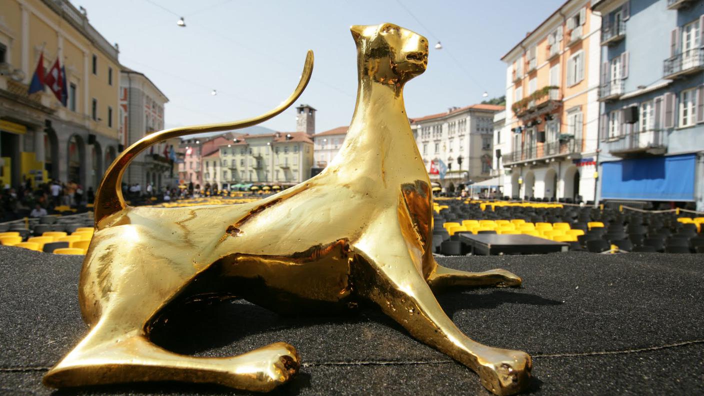 Il pardo in Piazza Grande 