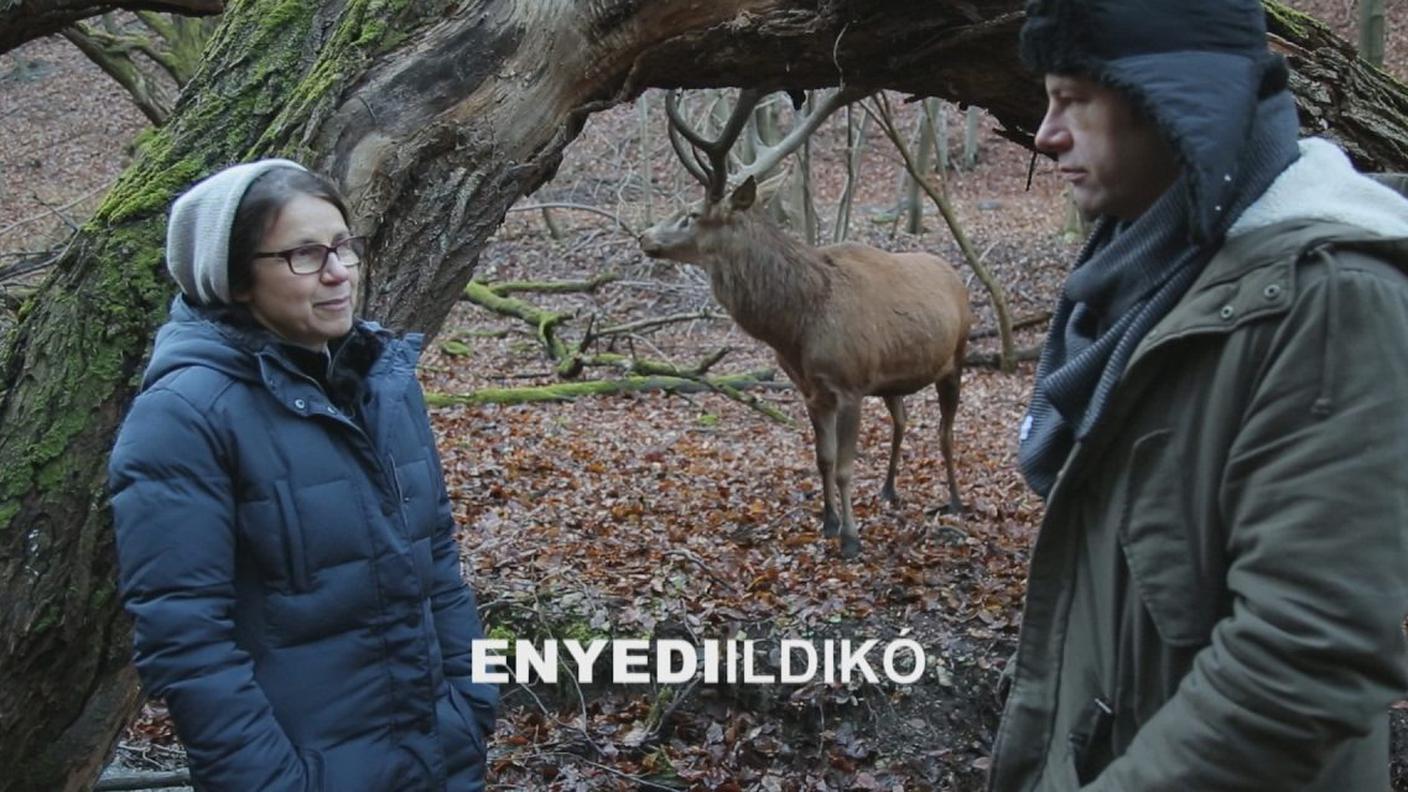 Ildikó Enyedi regista di On Body And Soul
