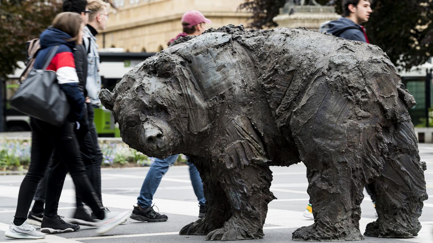 L'orso