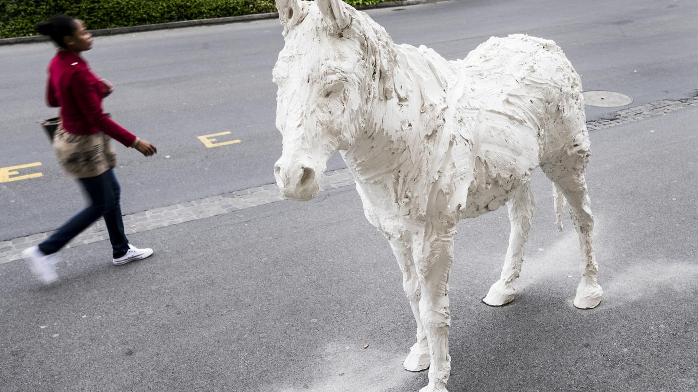 Il cavallo