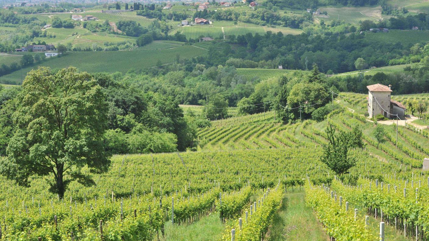 Niente da fare per Conegliano e Valdobbiadene