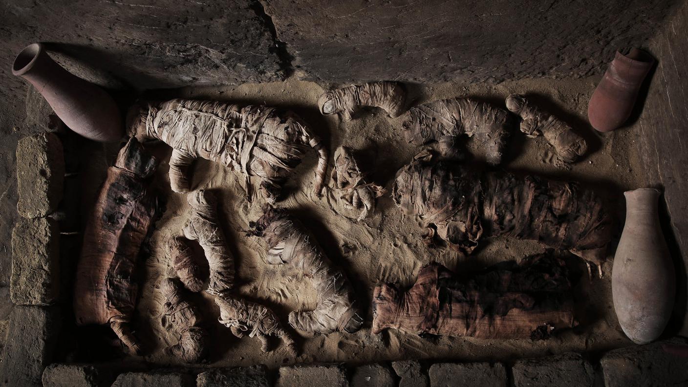 Mummie di gatto