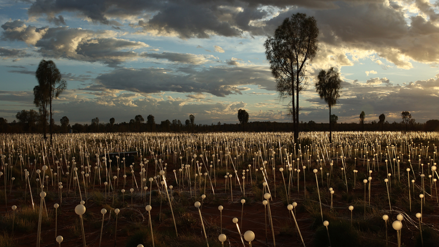 Il campo di bulbi di luce a energia solare