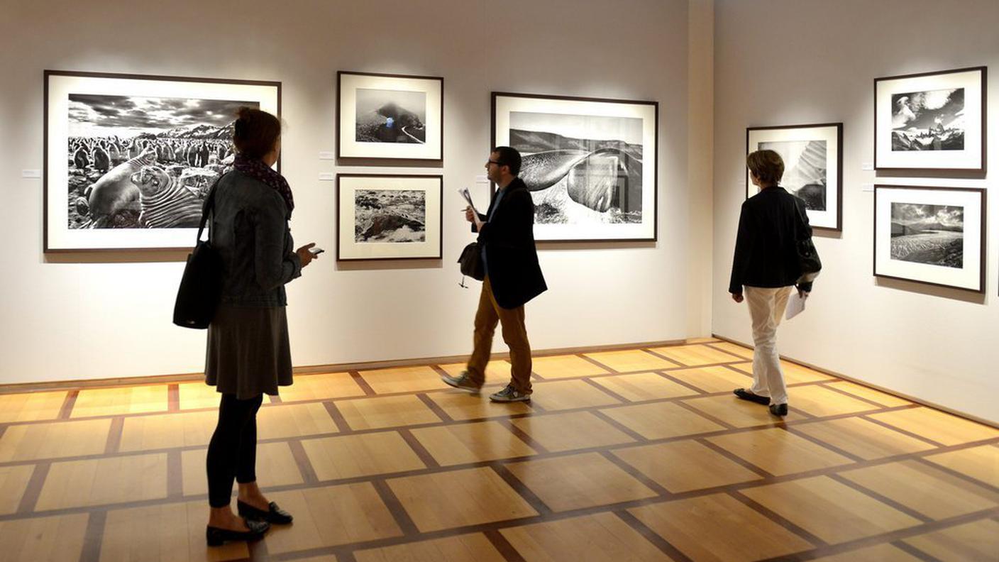 foto Salgado Losanna 4 ky.JPG