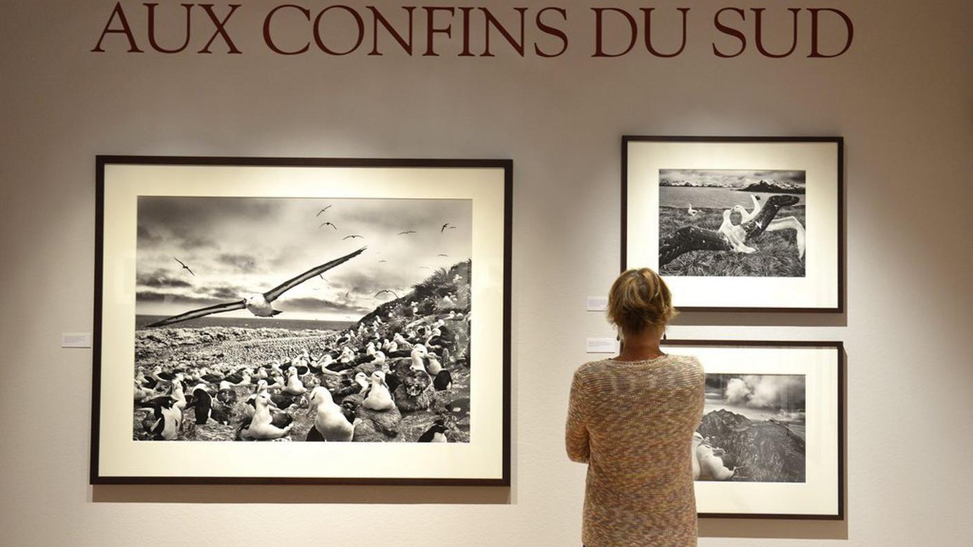foto Salgado Losanna 3 ky.JPG