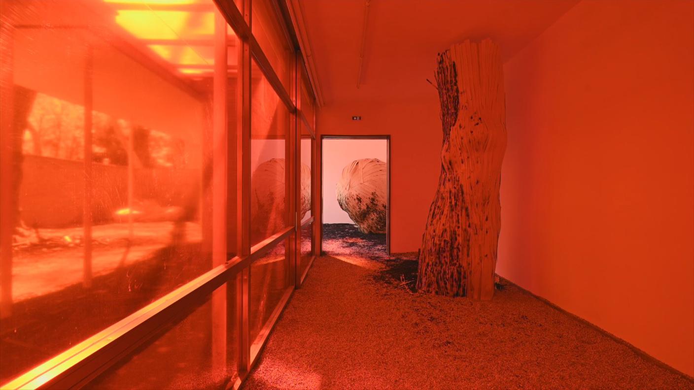 The Concert, la mostra del Padiglione svizzero alla Biennale Arte di Venezia