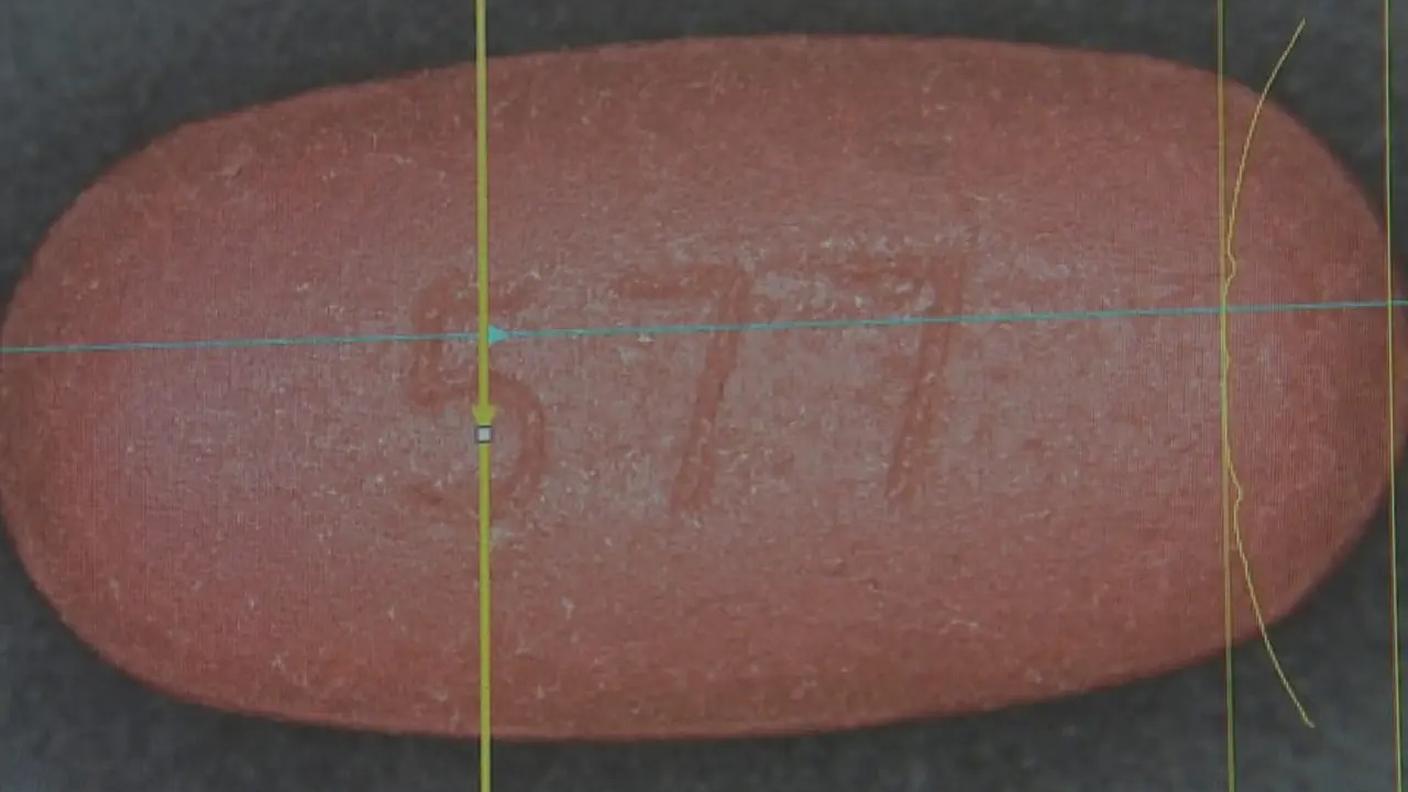 farma1.jpg