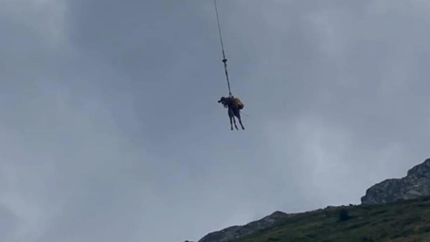 alpe7.jpg