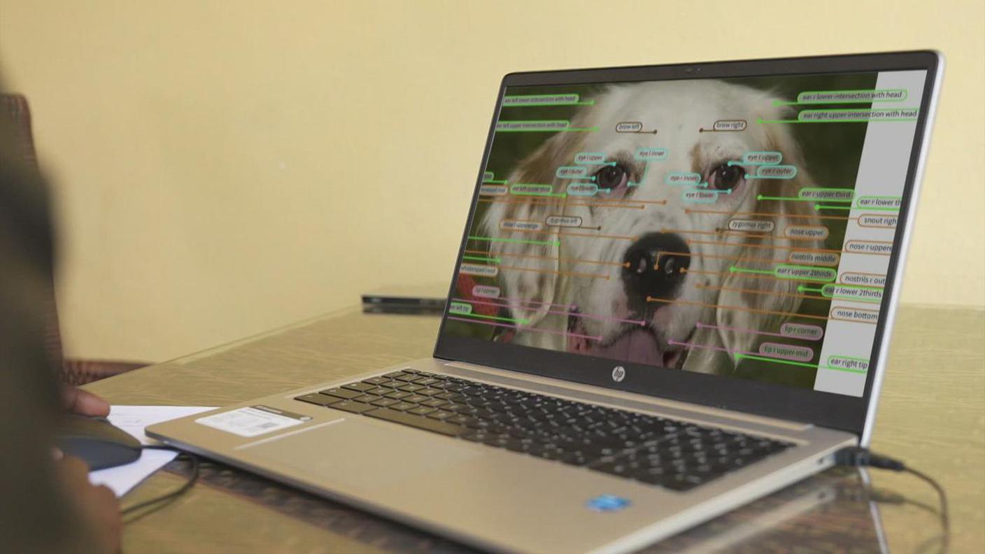 Perché l'IA sappia riconoscere un cane, migliaia di fotografie devono essere annotate manualmente