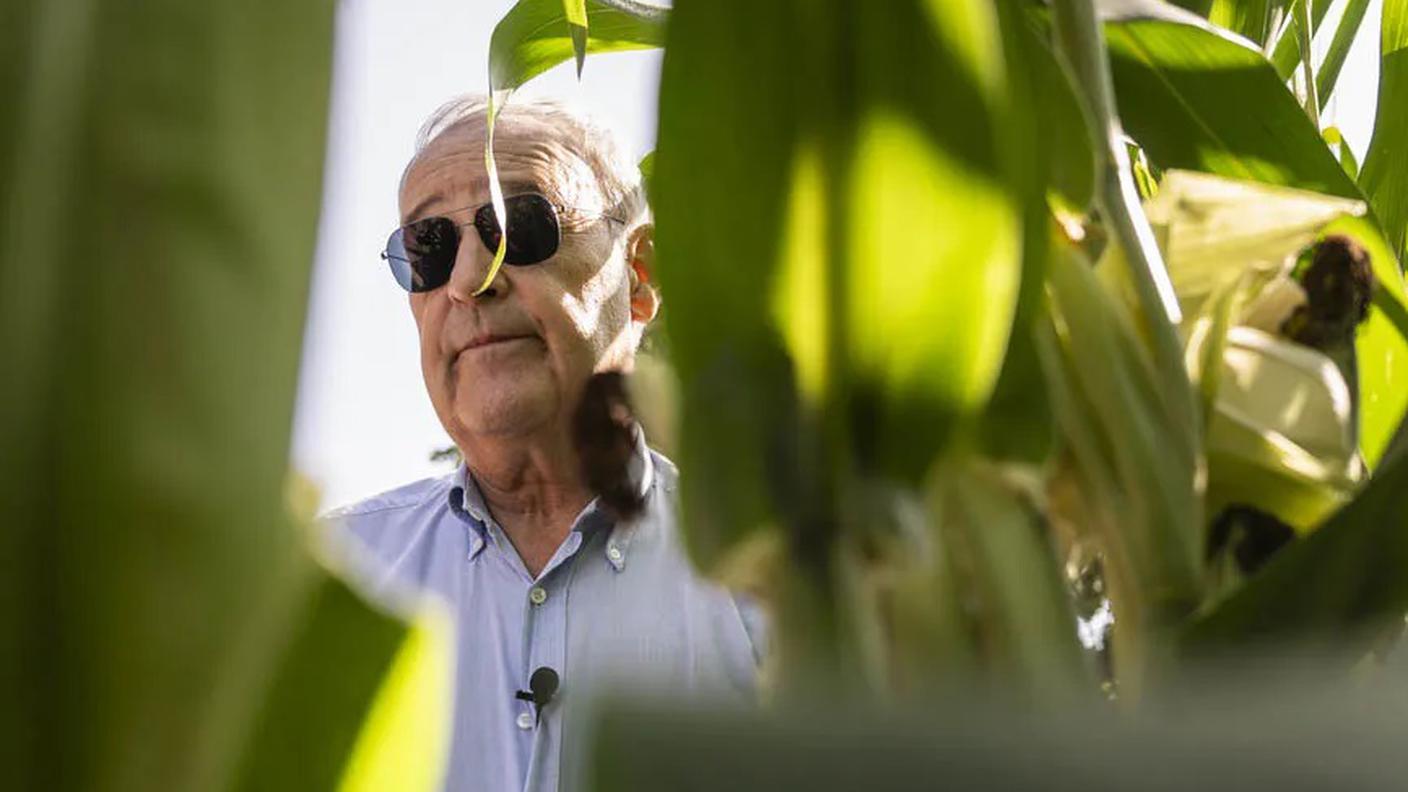 Guy Parmelin, presidente della Confederazione, è un esponente del settore agricolo