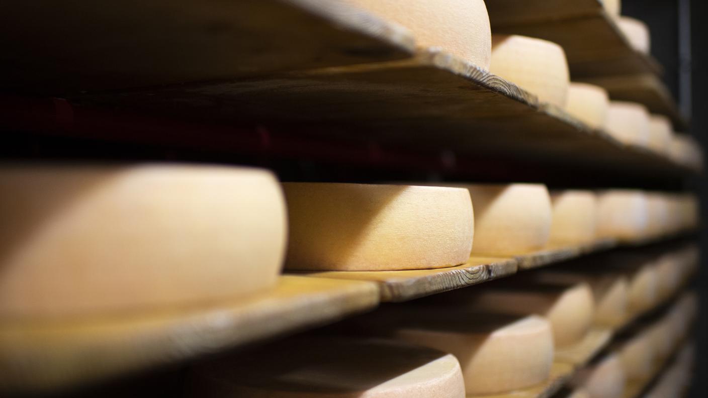 Il regolamento di molti formaggi DOP impone l’uso di caglio animale