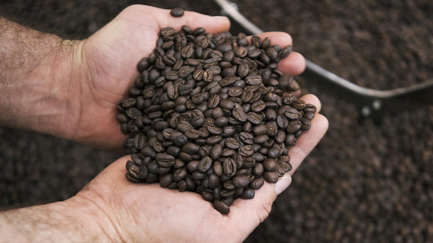 Il valore delle esportazioni di caffè supera la somma di quelle di cioccolato e formaggio messi insieme