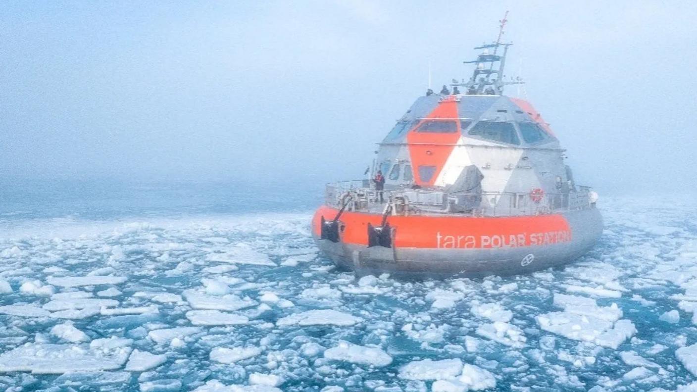 La Tara Polar Station