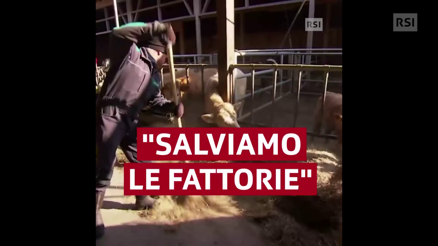 Contro la politica agricola