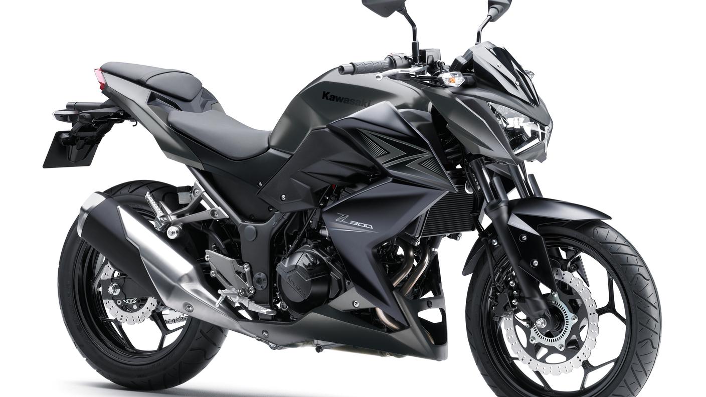 Z300