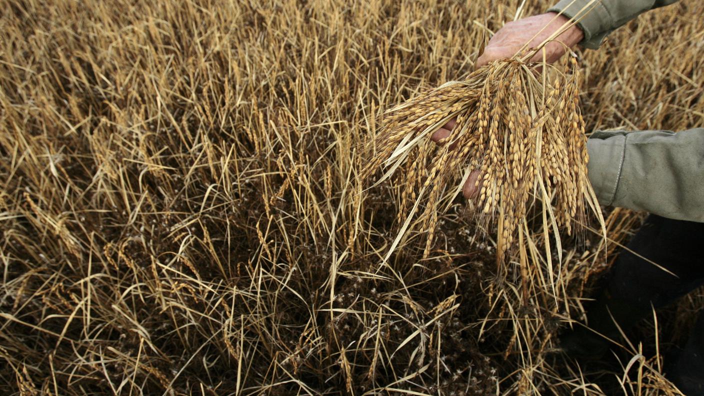 L’intesa avrebbe potuto ridisegnare l’industria agricola globale