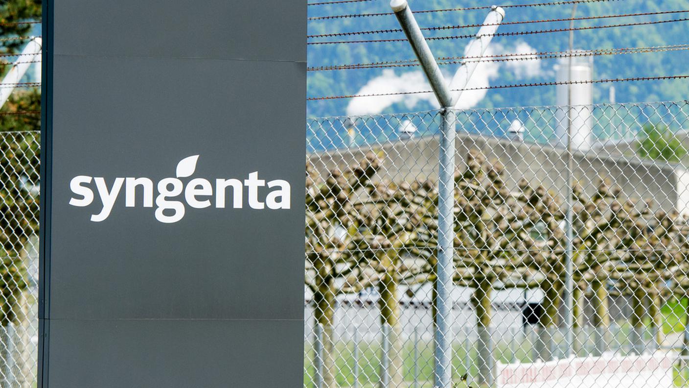 Syngenta nei guai negli USA per una semente geneticamente modificata