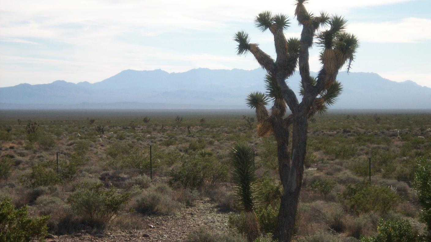 Il calo dei turisti esteri rischia di creare un "deserto" nel settore in America