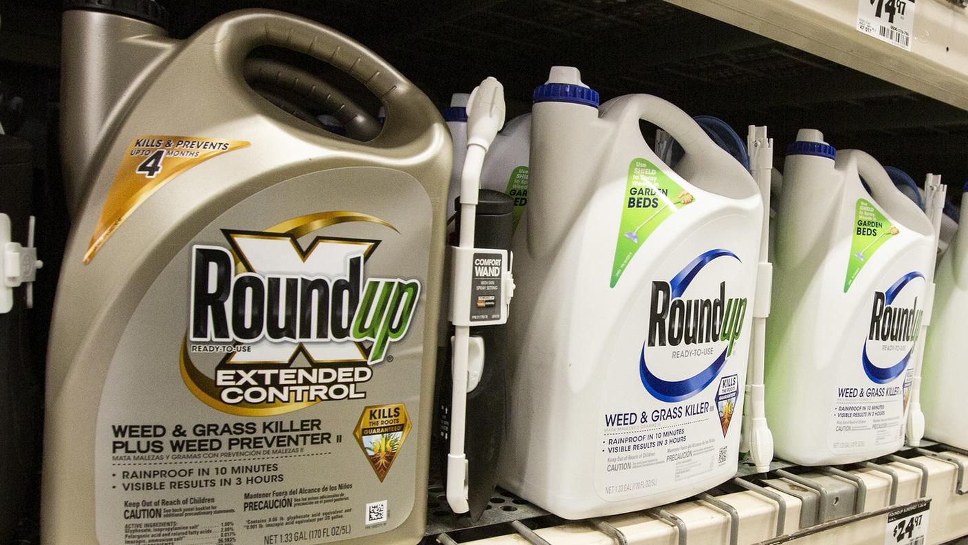 Monsanto condannata per il Roundup 