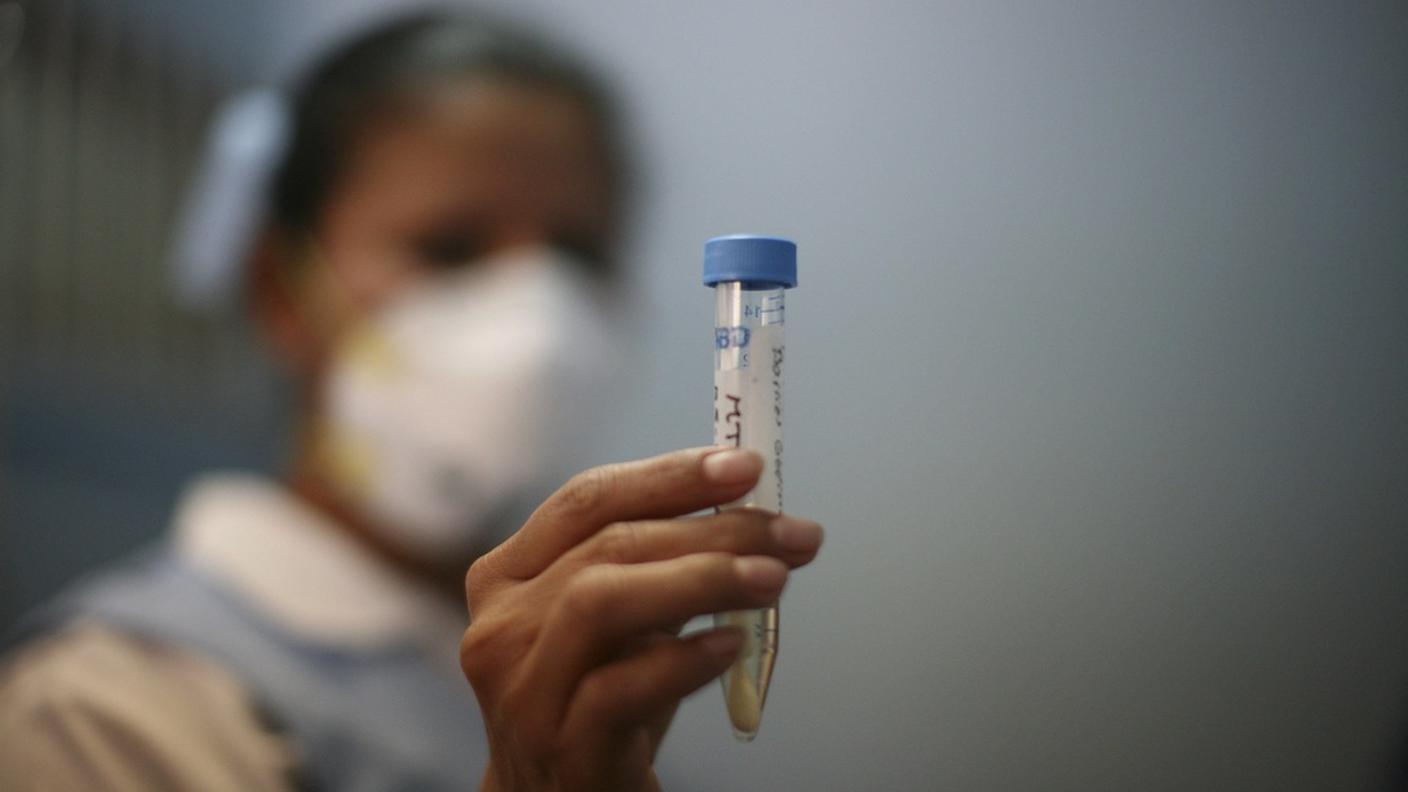 ky_influenza suina.JPG