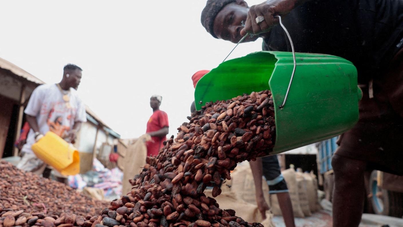 I semi di cacao invenduto si accumulano nei magazzini in Costa d'Avorio