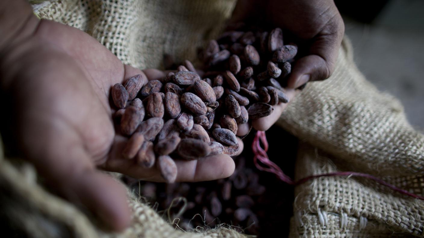 La Costa d'Avorio non esporta più cacao