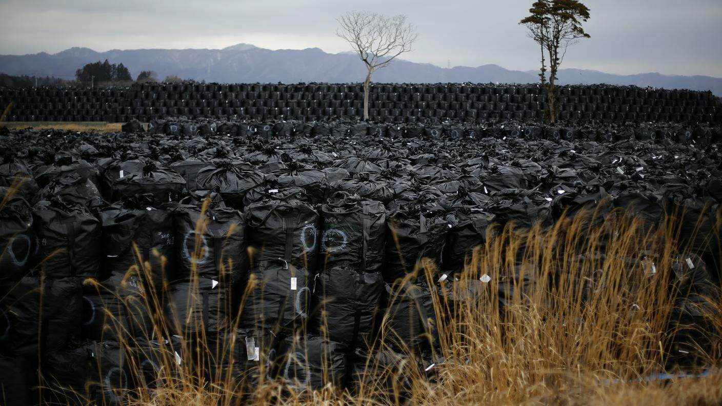 Sacche contenenti terreno terreno radioattivo, prefettura di Fukushima