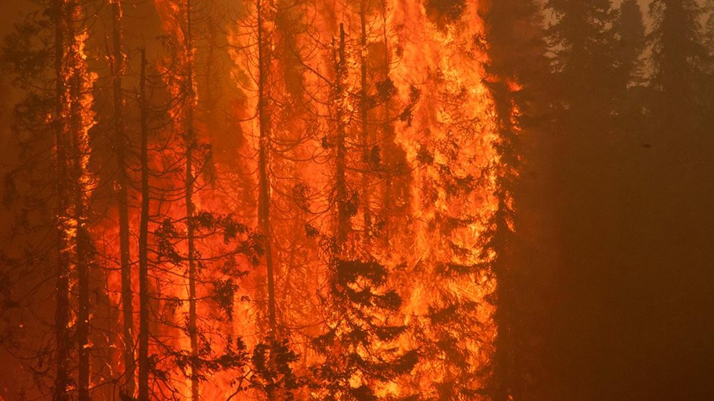 Le fiamme che divorano i boschi dell'Alaska in varie zone dello Stato