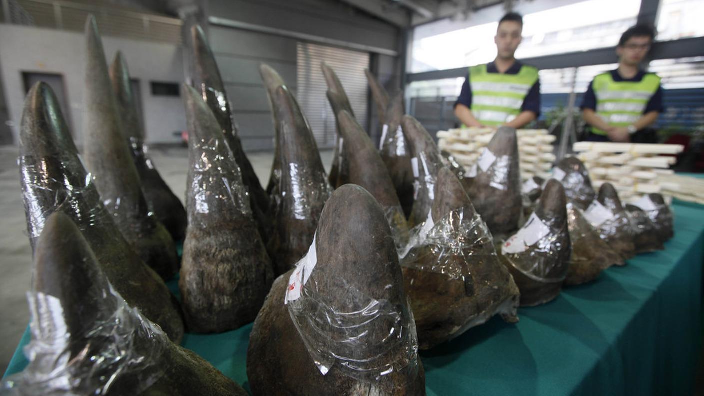  L'operazione ha riguardato soprattutto elefanti, rinoceronti e pangolini 