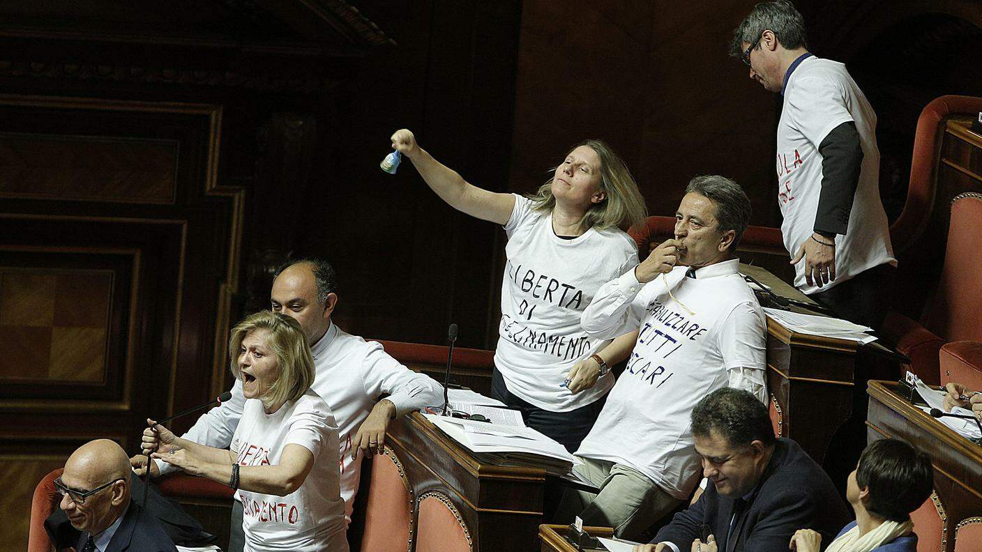 I senatori di SEL indossano magliette con scritto "Libertà di insegnamento" e "Diritto allo studio", mentre usano fischietti contro il Governo