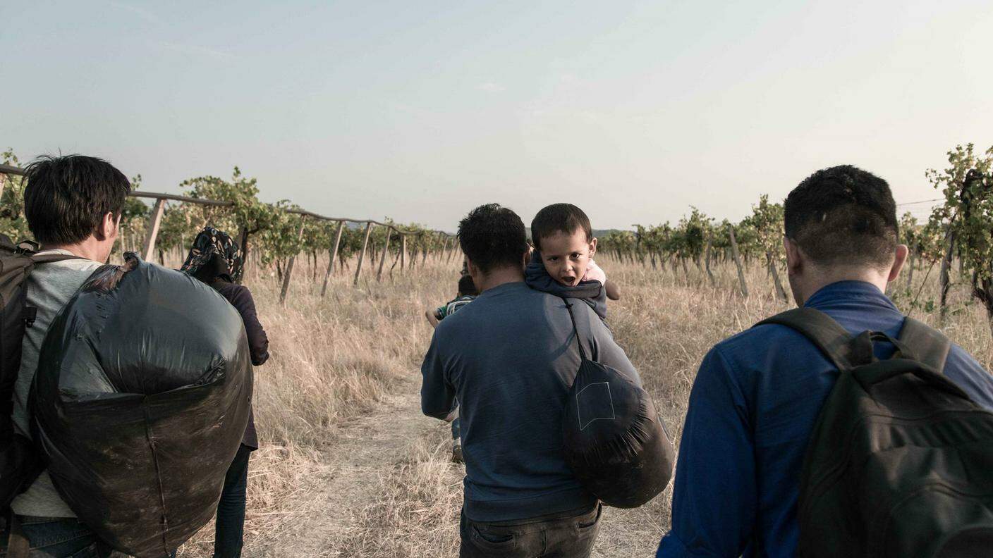 Non tutti i migranti attendono di essere lasciati passare dalla polizia. Questa famiglia di afgani preferisce entrare in Macedonia attraversando i campi e i vigneti 